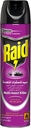 Raid-all Purpose Insect Killer-300ml