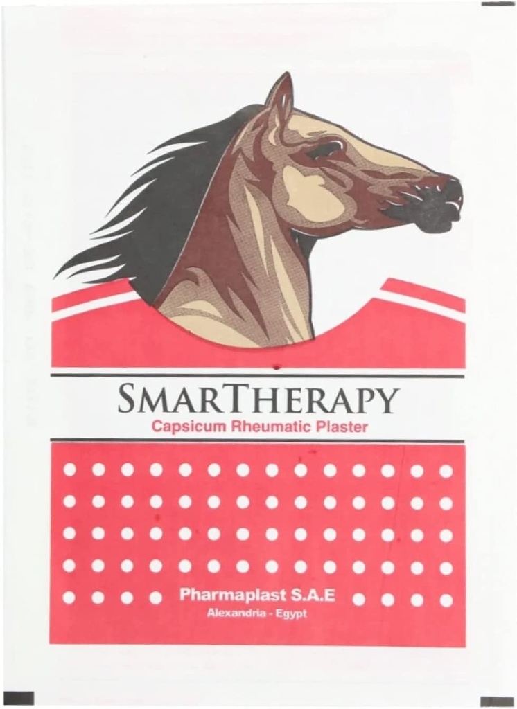 Smart Therapy Capsicum Rheumatic Plaster