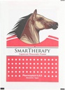 Smart Therapy Capsicum Rheumatic Plaster