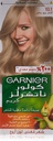 Garnier Color Naturals Permanent Hair Color 10.1 Frosty Beige