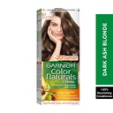 Garnier Color Natcherls Hair Dye No. 6.1 Blonde Light Gray