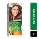 Garnier Hair Color Naturals 6 Dark Blonde